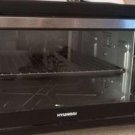 مایکروفروتوستر