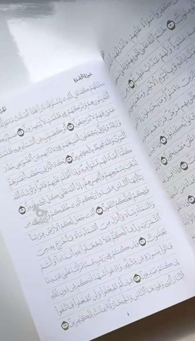 طراح و صفحه آرایی قران - شادی