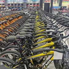 دوچرخه دینوس 24 انتخابی مطمئن + اقساطی