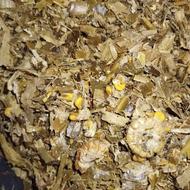 ذرت علوفه درجه یک