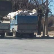 فروش سیب زمینی