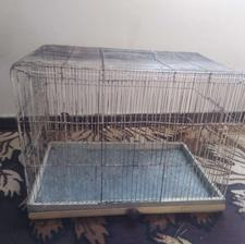 قفس مرغ عشق