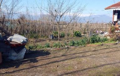 زمین  فروش فوری لبه ساحل