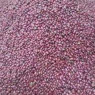 لوبیای قرمز رنگ