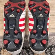 کتونی تانا استوک