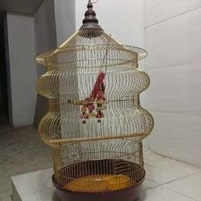 قفس پرنده سالم