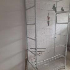 قفس پرندگان