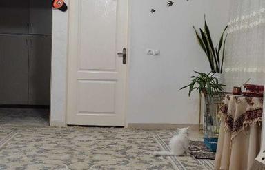 فروش آپارتمان