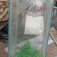 آکواریوم نو