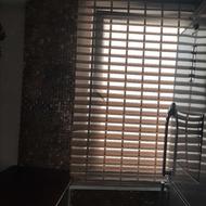 پرده زبرا تمیز تخفیف هم داره