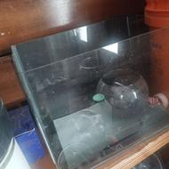 اکواریوم شیشه خم