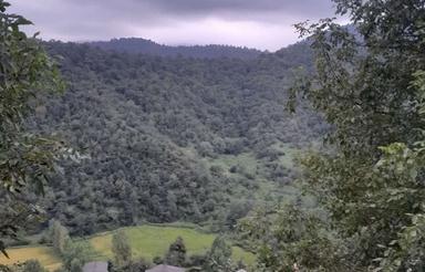 فروش زمین تو بافت