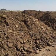 کود حیوانی گوسفند ی