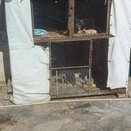 گنجه آهنی2×2 سنگین وزن آماده