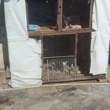 گنجه آهنی2×2 سنگین وزن آماده