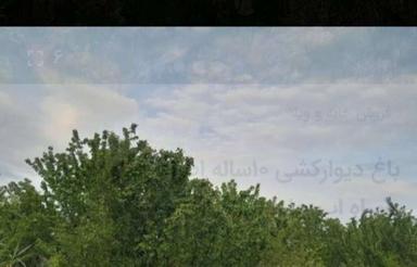 باغ دیوارکشی انواع ورخت فلاورجان اطراف از300 متر تاکل باغ