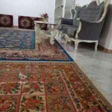 کوچه بن بست انواع درخت کیوی.خرمالو انار آلوچه به