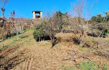 فروش زمین مسکونی واقع در روستای پهنه کلا