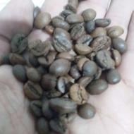 قهوه ربستا 90 درصد