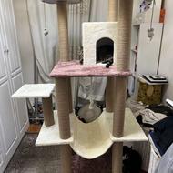 درخت گربه سایز بزرگ