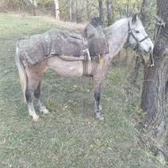 مادیون عالی ازهرنظر