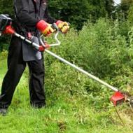 خدمات علف زنی و هرس