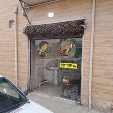 فروش قناری رسمی ماده ونر آماده مغازه 