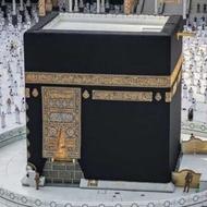 فروش یک عدد فیش عمره - رشت