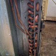 سالم گاز زده نیست