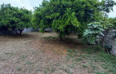 فروش زمین 500 متری در بهنمیر