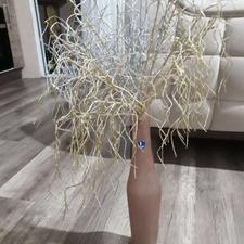 گل با گلدان سالم و تمیز.