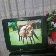 تلویزیون NEC