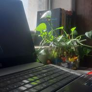 مقاله،پروپوزال،پایان نامه، رساله دکترا