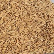 فروش تیم بینج هاشمی درجه یک