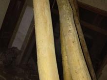 تیر چوبی سقفی در شیپور