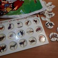 بسته های هوش و سرگرمی گروه سنی کودک و خردسال