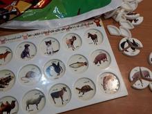 بسته های هوش و سرگرمی گروه سنی کودک و خردسال در شیپور