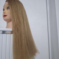 کله مانکن سالم