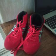 فروش کفش کشتی