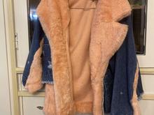 پالتو خزر دار در شیپور