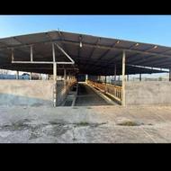 ورق شیروانی کارکرده