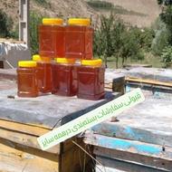 پخش عسل آذربایجان