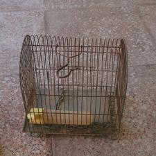 قفس پرنده @@