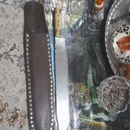 چاغوترکمنی