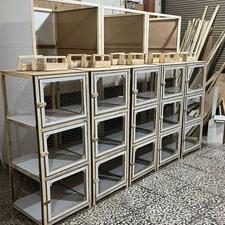 افزایش قیمت جفتکن،جفت کن کبوتر،کفتر از هفته بعد ، گنجه لاری