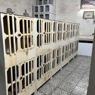 جفت کن ،گنجه ، قفس کبوتر، کفتر افزایش قیمت از هفته بعد