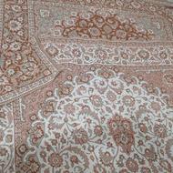 روفرشی نونو