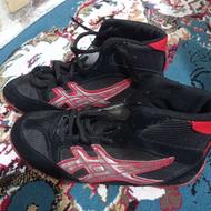 یک جفت کفش کشتی