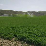 موتور مارگو ده اسب بخار بخار