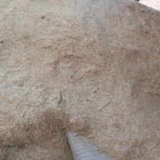 کاه کندم نرم